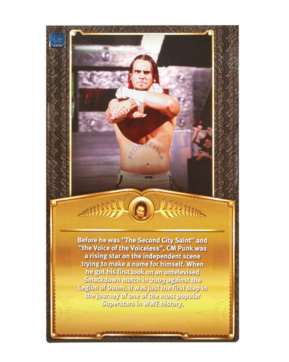 WWE Elite Defining Moments 2025 Wave 1 (Ringside Exclusive) - CM Punk